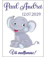 Eticheta autoadeziva/cartonata pentru sticle si borcane, cod E333