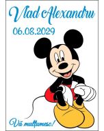 Eticheta autoadeziva/cartonata pentru sticle si borcane, cod E360