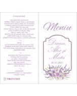Meniu, cod M221