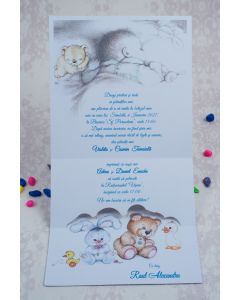 Invitatie botez 8024B