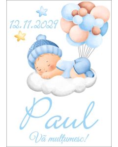 Eticheta autoadeziva/cartonata pentru sticle si borcane, cod E313